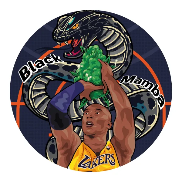 Black Mamba CBD Greenhouse Premium | Tropical Bud