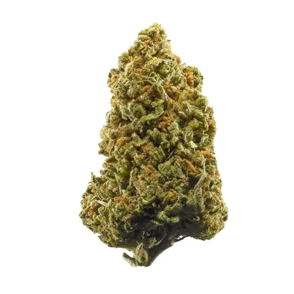 🌿 Pineapple Express CBD Greenhouse Premium | Tropical Bud