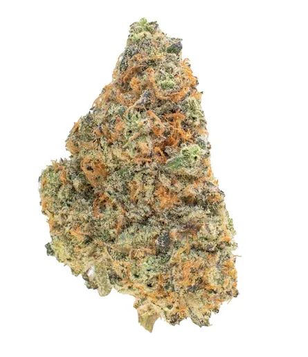 Stickky Queen H3CBN-  Tropical Bud