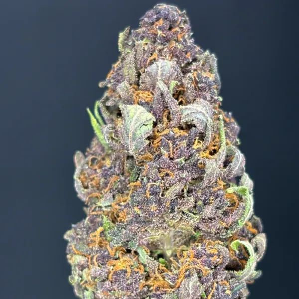 Flor de CBD - Purple Haze