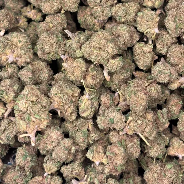 Mini Buds de CBD 10g - Mandarine