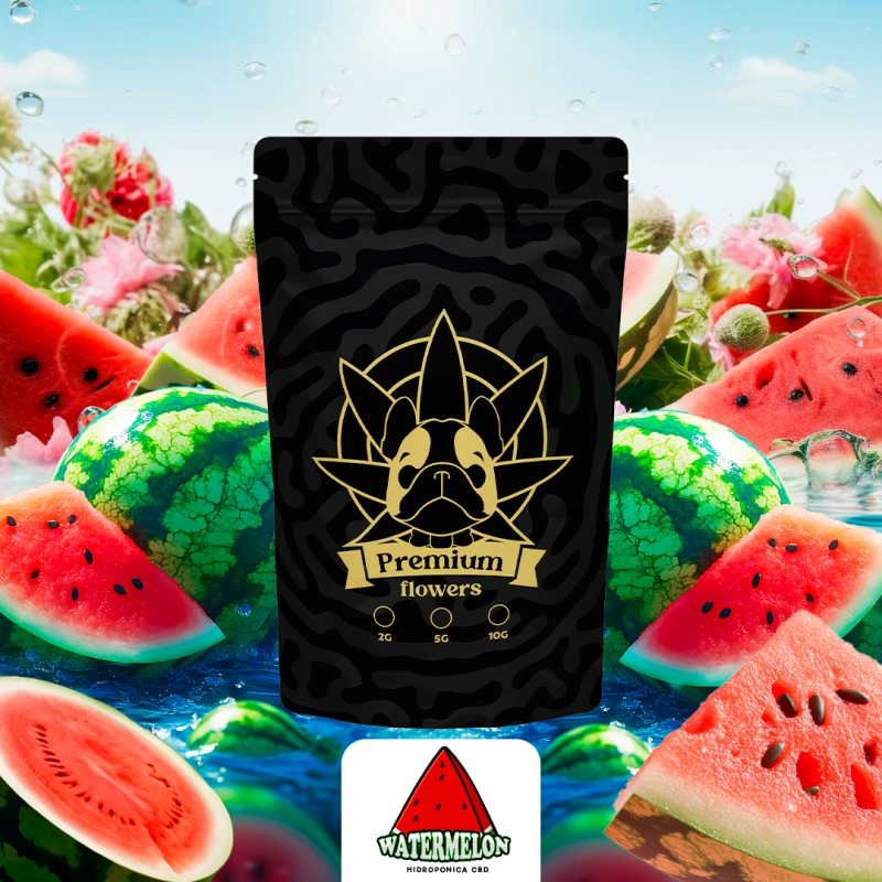 Flor de CBD - Watermelon Hidroponica Mama Kana