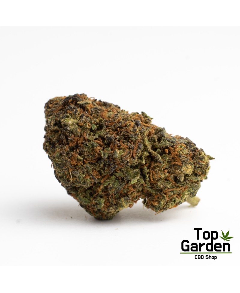 flor-de-cbd-lemon-haze-de-pata-verde-flor-de-canhamo Top Garden
