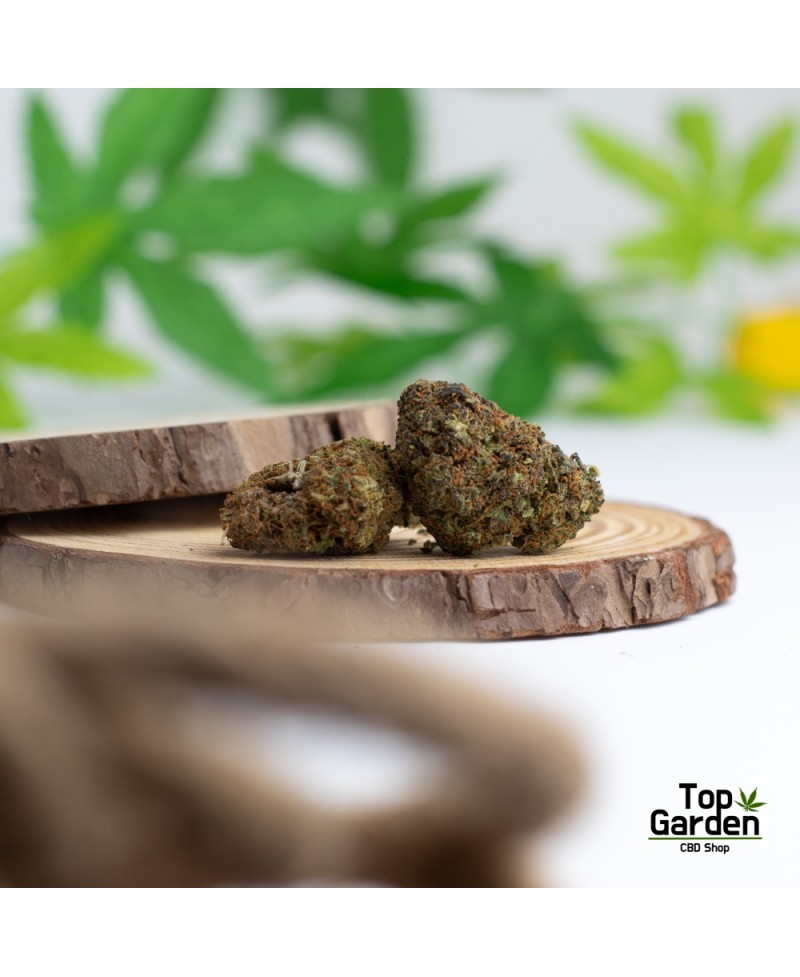 flor-de-cbd-lemon-haze-de-pata-verde-flor-de-canhamo Top Garden