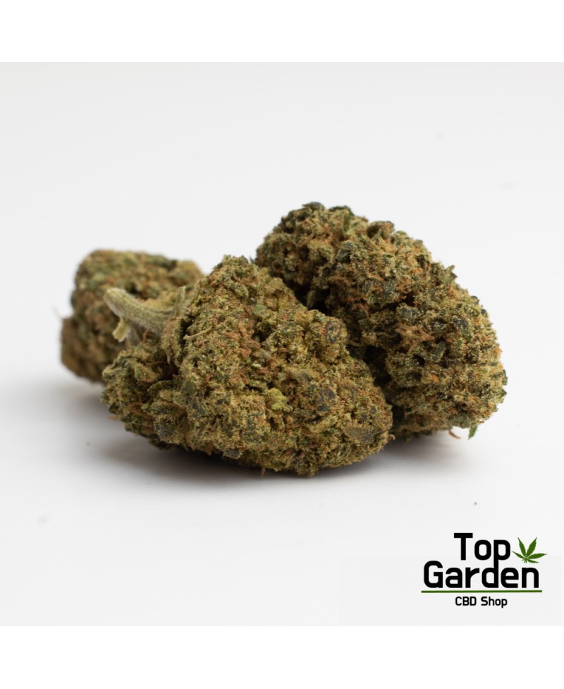 flor-de-cbd-pineapple-kush-de-pata-verde-flor-de-canhamo Top Garden