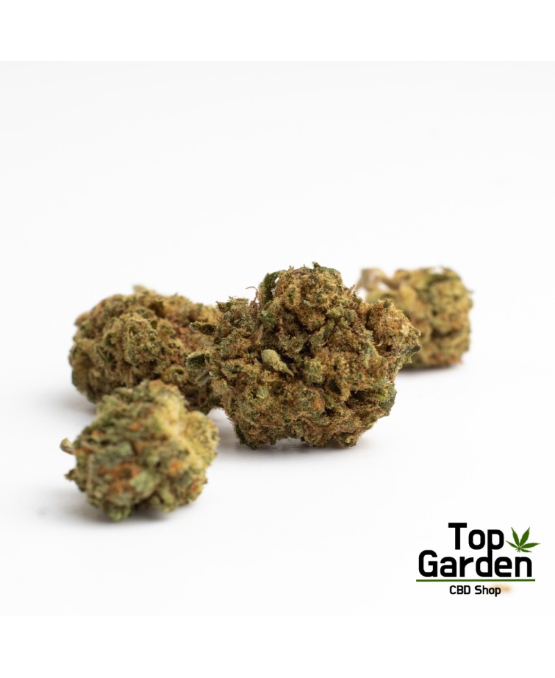 flor-de-cbd-gorilla-glue-de-pata-verde-flor-de-canhamo Top Garden