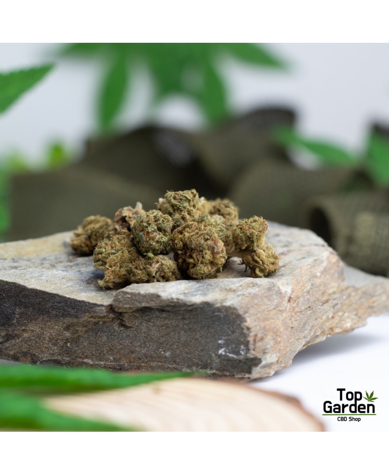 flor-de-cbd-gorilla-glue-de-pata-verde-flor-de-canhamo Top Garden