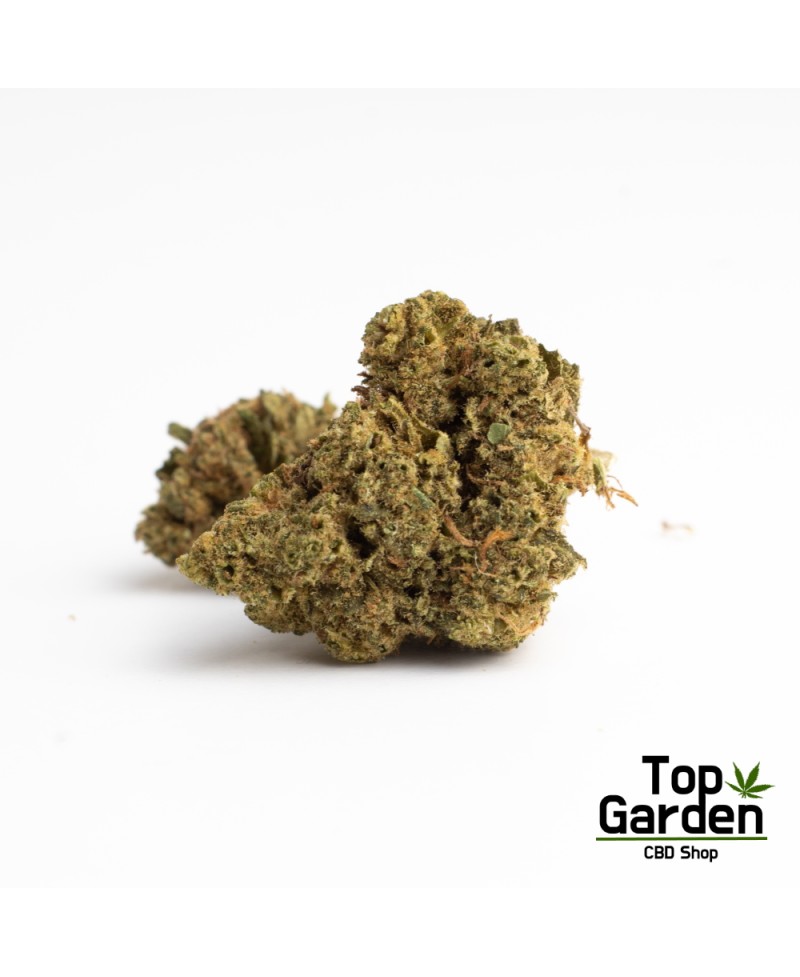 flor-de-cbd-zkittlez-de-pata-verde-flor-de-canhamo Top Garden