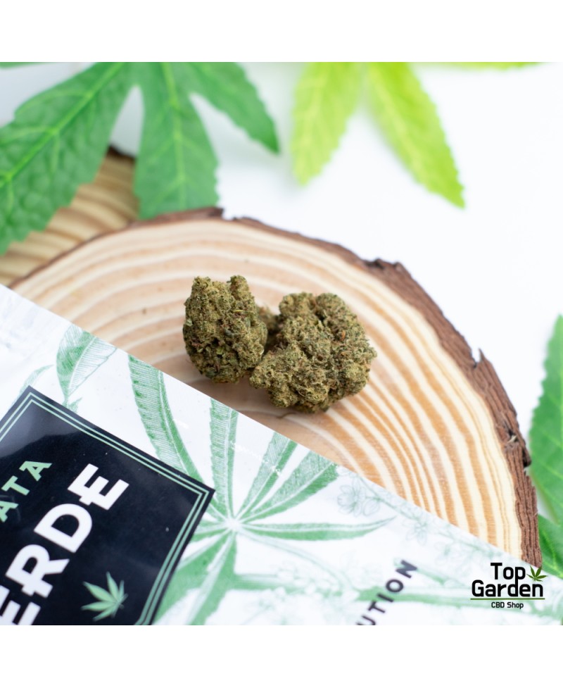 flor-de-cbd-zkittlez-de-pata-verde-flor-de-canhamo Top Garden