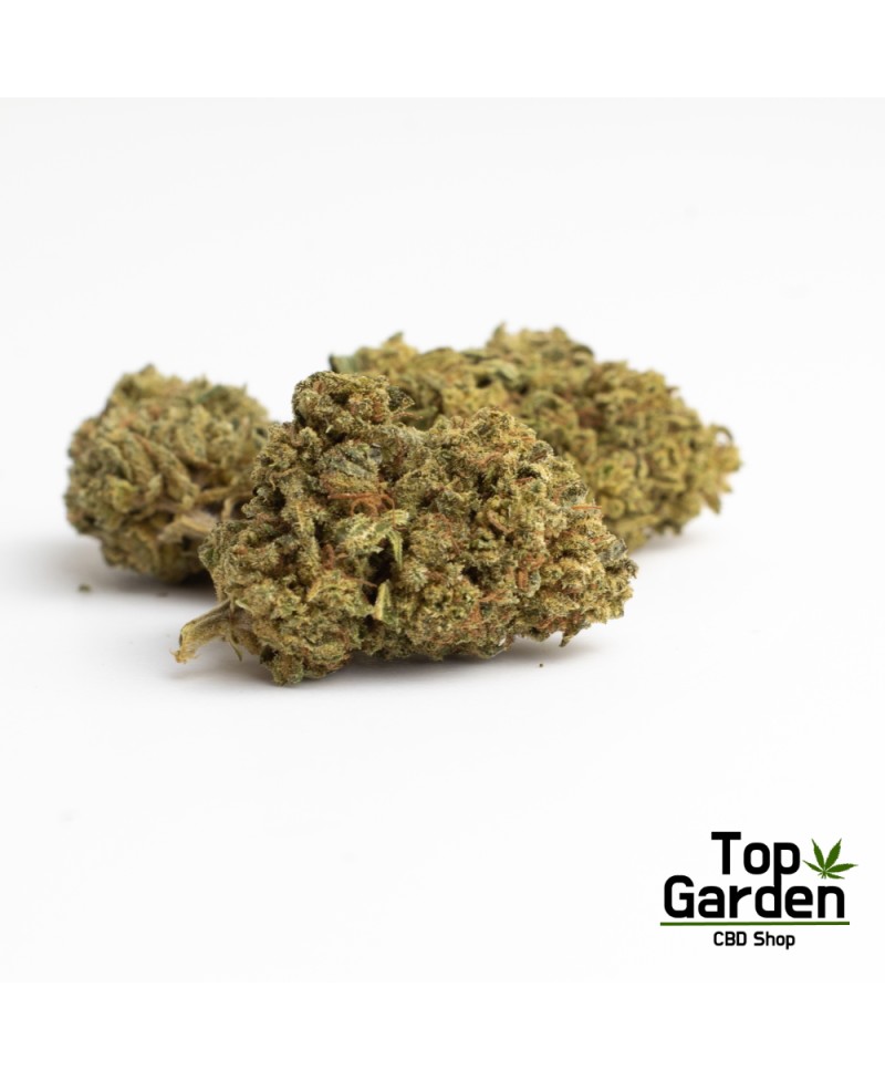 flor-de-cbd-amnesia-haze-de-pata-verde-flor-de-canhamo Top Garden
