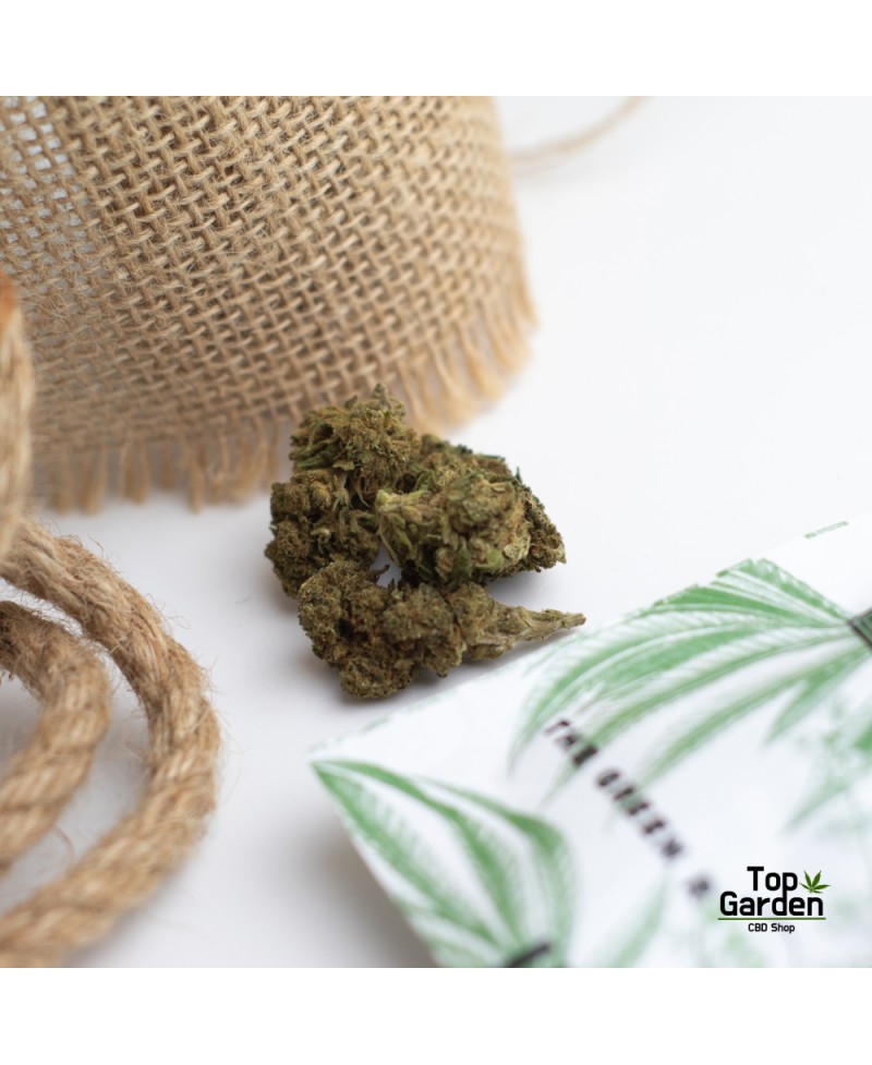 flor-de-cbd-orange-bud-de-pata-verde-flor-de-canhamo Top Garden