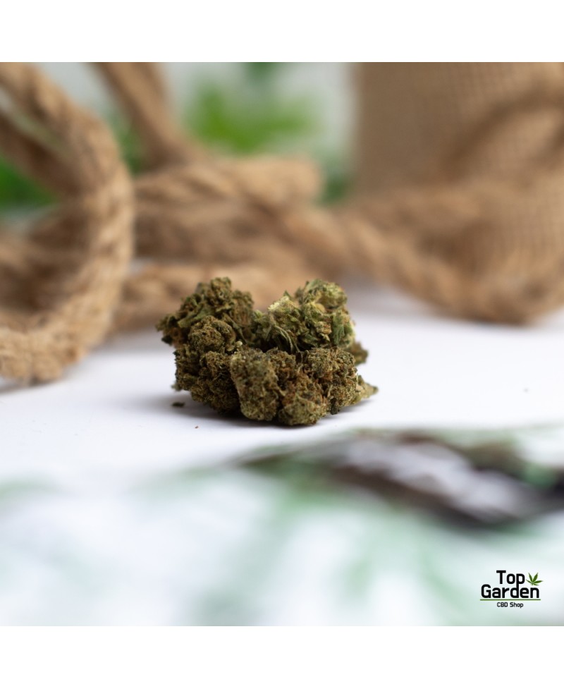 flor-de-cbd-orange-bud-de-pata-verde-flor-de-canhamo Top Garden