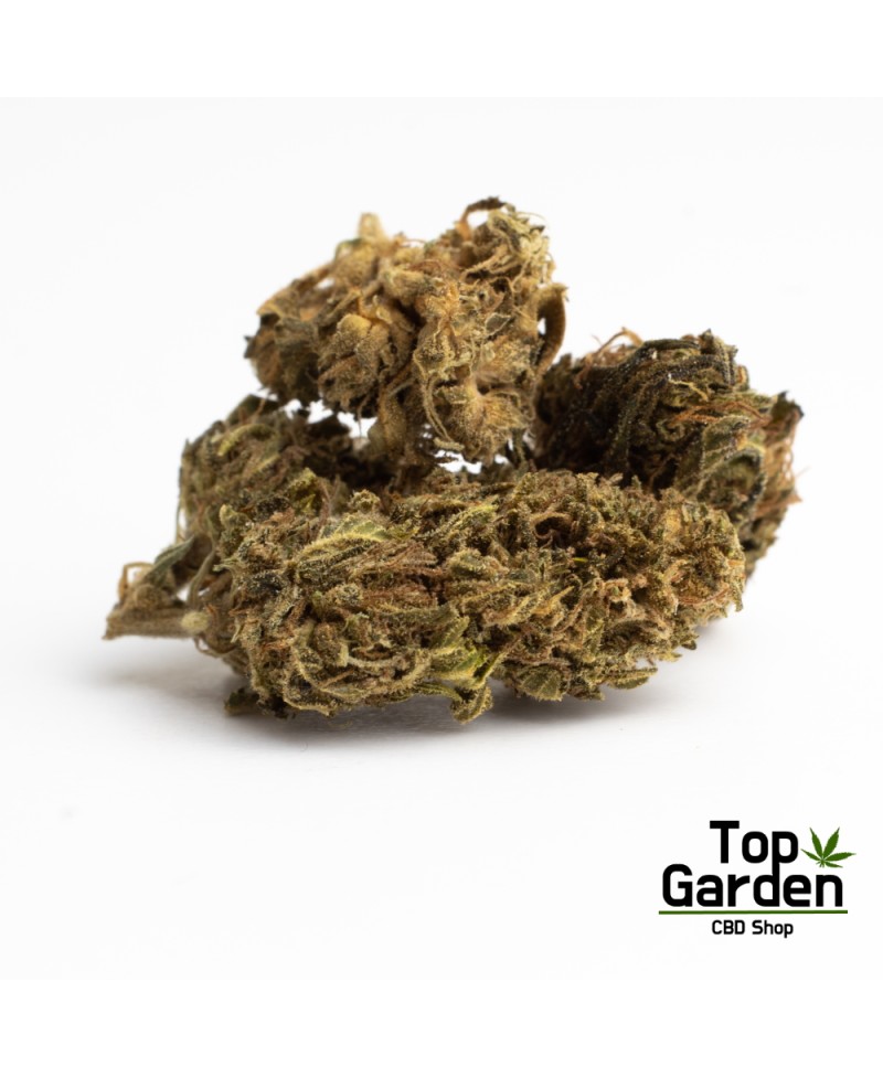 flor-de-cbd-therapy-de-pata-verde-flor-de-canhamo Top Garden