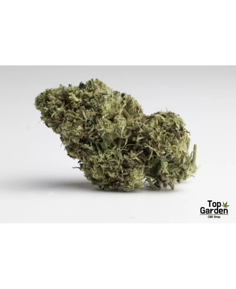 flor-de-cbd-therapy-de-pata-verde-flor-de-canhamo Top Garden