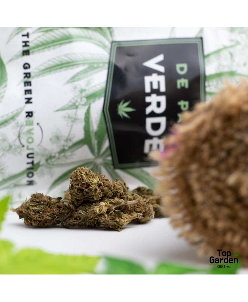 flor-de-cbd-therapy-de-pata-verde-flor-de-canhamo Top Garden