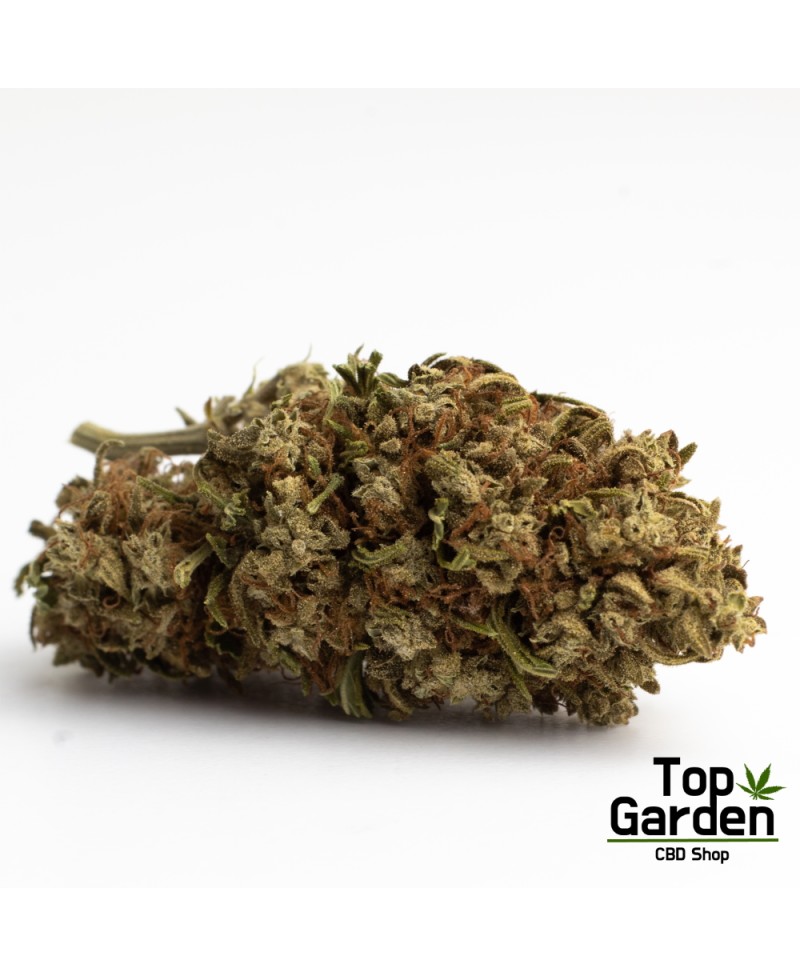 flor-de-cbg-cannatonic-de-pata-verde-flor-de-canhamo Top Garden
