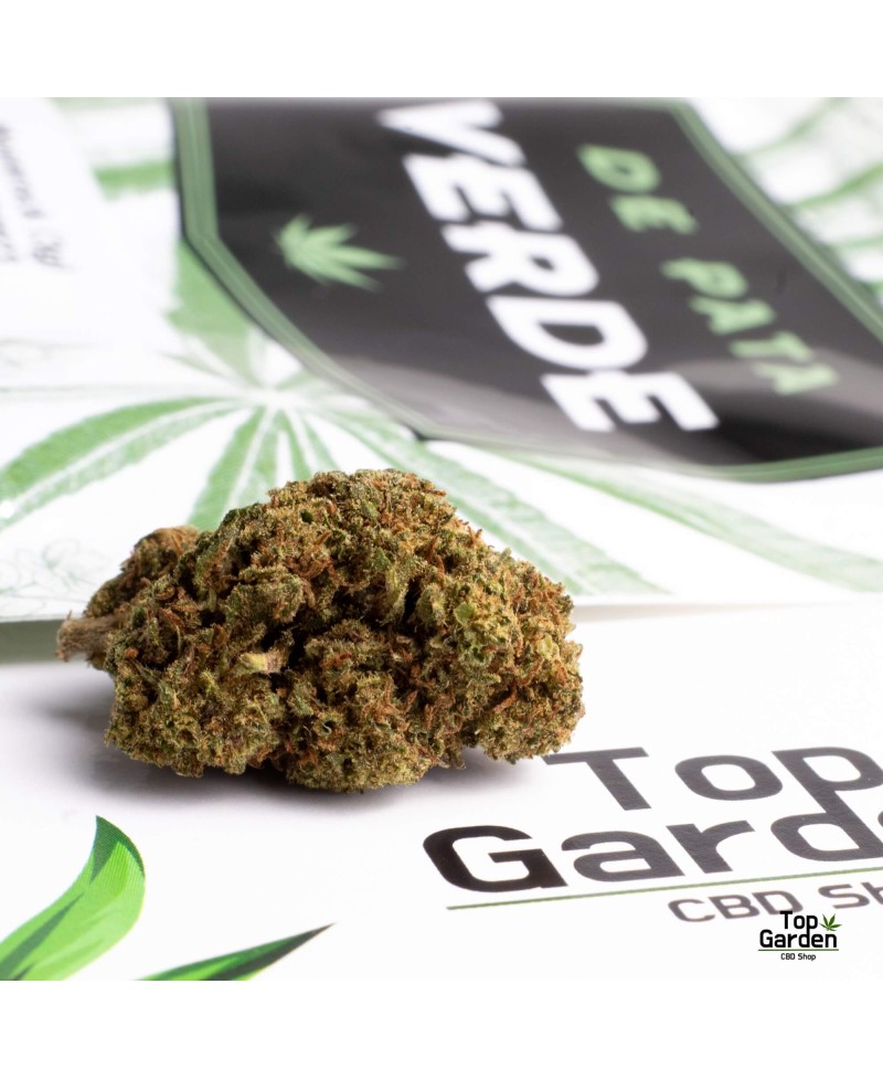 flor-de-cbd-strawberry-de-pata-verde-flor-de-canhamo Top Garden