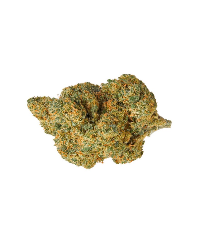 flor-de-cbd-strawberry-de-pata-verde-flor-de-canhamo Top Garden