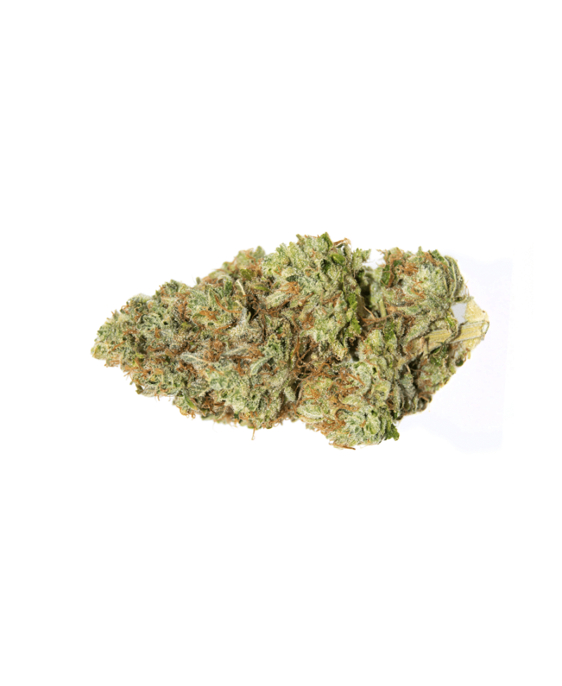 flor-de-cbd-og-kush-de-pata-verde-flor-de-canhamo Top Garden