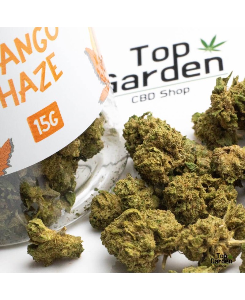 flor-cbd-small-buds-mango-haze-15gr-greeneo-flor-de-canhamo Top Garden