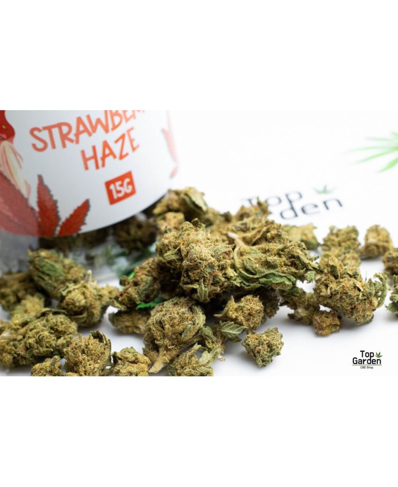 flor-cbd-small-buds-strawberry-haze-15gr-greeneo-flor-de-canhamo Top Garden