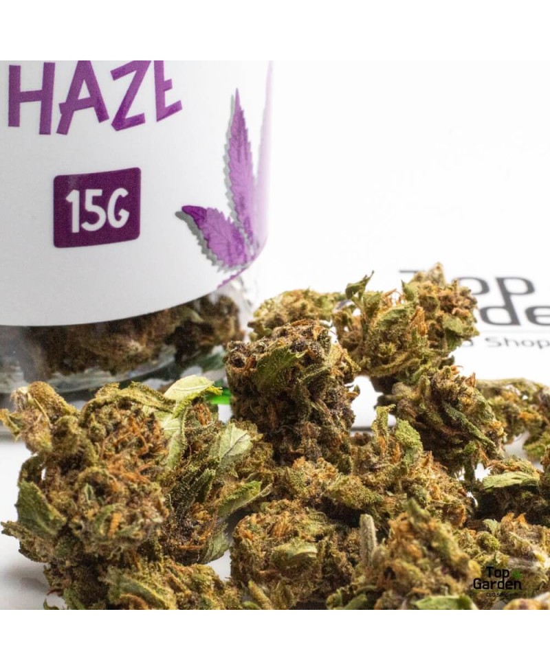 flor-cbd-small-buds-purple-haze-15gr-greeneo-flor-de-canhamo Top Garden