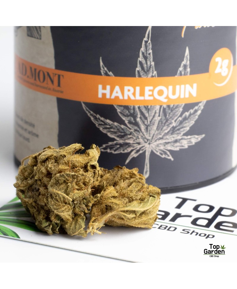 flor-de-cbd-harlequin-2gr-admont-flor-de-canhamo Top Garden