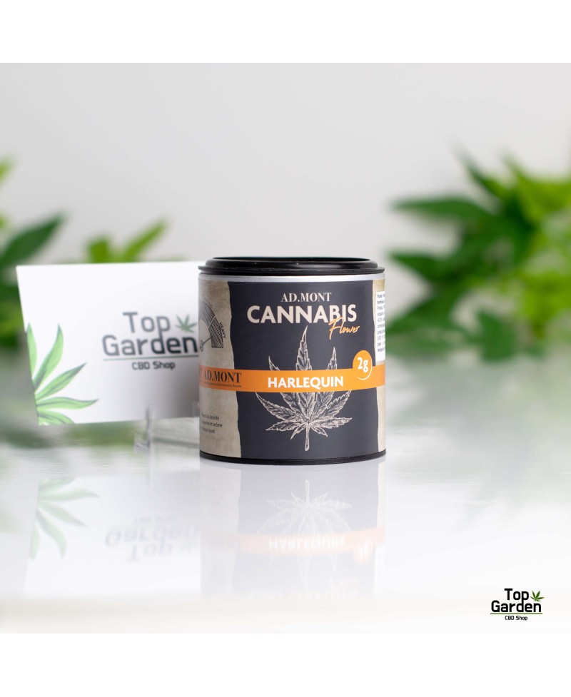 flor-de-cbd-harlequin-2gr-admont-flor-de-canhamo Top Garden