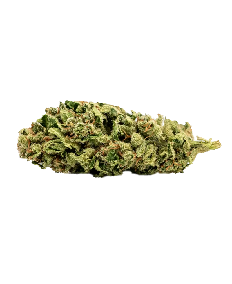 flor-de-cbd-harlequin-2gr-admont-flor-de-canhamo Top Garden