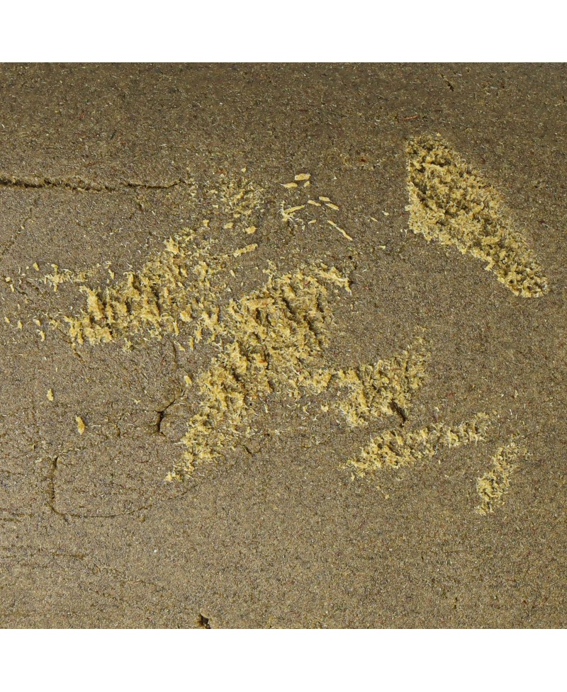 hash-yellow-zushi-cbd-5gr-deli-hemp-cbd Top Garden