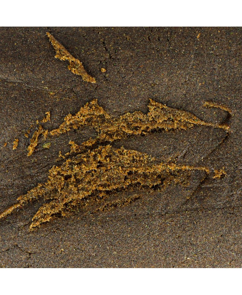 hash-double-zero-cbd-5gr-deli-hemp-cbd Top Garden