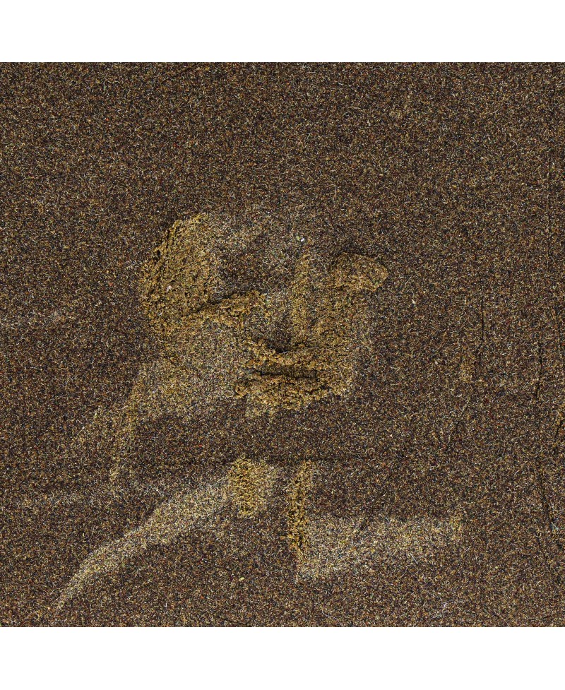 hash-hashkom-cbd-marrocos-5gr-deli-hemp-cbd Top Garden